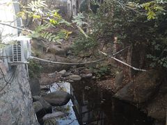 -老张烤羊(王哥庄店)