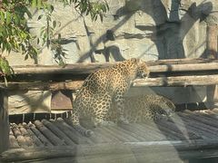 -石家庄市动物园