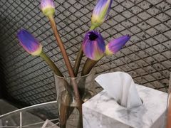 -三间愈舍·Triple Spa(重庆IFS国金中心店)