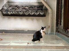 -猫的天空之城概念书店(杭州南宋御街店)