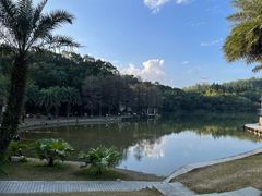 -深圳仙湖植物园