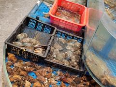 -鲜得莱渔港·小平岛海胆馆(七贤岭店)