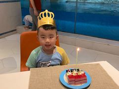 -帝企鹅自助餐厅•儿童岛•真企鹅(长隆企鹅酒店)