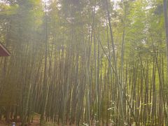 -同里国家湿地公园