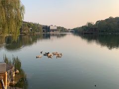 -上海怡沁园度假酒店