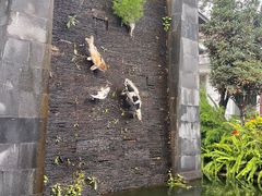 -瑞丰园庭院餐厅·白族传统家常菜