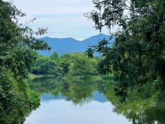 -西溪国家湿地公园