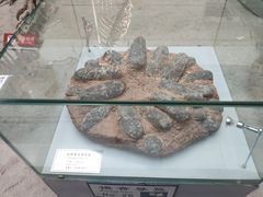 -中国地质大学逸夫博物馆