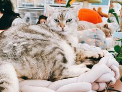 -小时光咖啡馆(北锣鼓巷店)