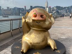 -星光大道