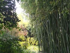 -汇龙潭