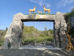 -野鸭湖国家湿地公园