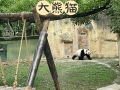 -上海野生动物园