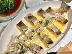 鸡汁大白鱼-桂园餐厅(五大道店)