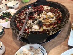 -金三可市井水煮鱼(金碧园店)