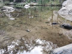 -碓臼峪自然风景区