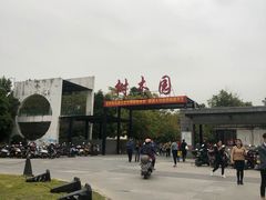-中山市树木园