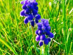 -昆山城市生态森林公园