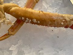 -339旋转餐厅(天府熊猫塔店)