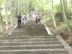 -窦圌山风景区