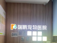 -瑞鹏宠物医院·内科·中兽医·骨科(苗圃店)