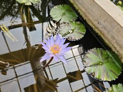 -国家植物园南园