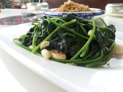 清炒时蔬-鑫悦楼煎蟹·16年海鲜大排档