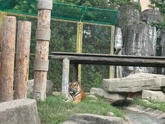 -上海野生动物园