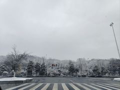 -佛手湖郊野公园