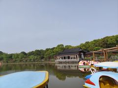 -南汇桃花村
