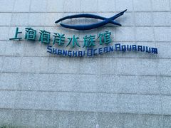 -上海海洋水族馆