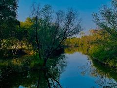 -西溪国家湿地公园