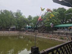 -尚庄度假村·庭台树下·户外烧烤·团建CS·轰趴营地(上庄水库店)