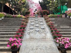 -圆通禅寺