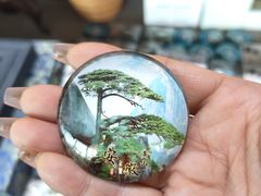 -黄山屯溪国际机场