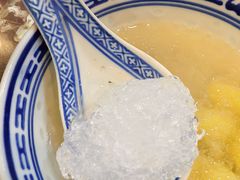 -大中鱼翅 Taitong Shark Fin