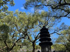-普陀山风景名胜区-法雨禅寺