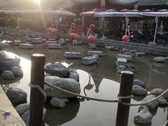 -茯茶镇