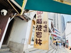-猫的魔法密林(衣裳街店)