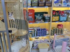 -悠尼宠物·独立低压伊珊娜洗护·美容·寄养(兰谷路店)