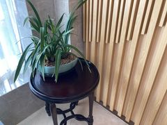 -团圆口腔·种植中心(锦江院区)