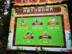 -广州长隆飞鸟乐园