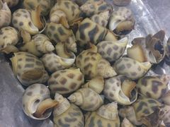 -蚝专家(北滘店)