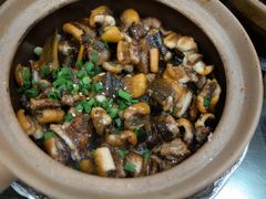 -红星光发煲仔饭(文海店)