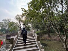 -韩湘水博园