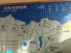 -广东惠东海龟国家级自然保护区