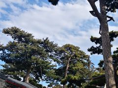 -妙峰山风景名胜区