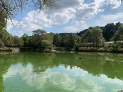 -沈阳森林动物园