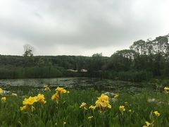 -同里国家湿地公园