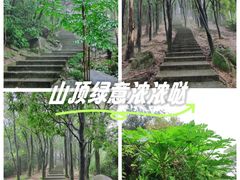 -火炉山森林公园
